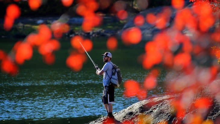 <span class="article__caption">Seen through fall foliage, an angler tries his luck in Olney Pond inside Lincoln Woods State Park.</span> (Photo: Lane Turner/The Boston Globe/Getty)South Carolina