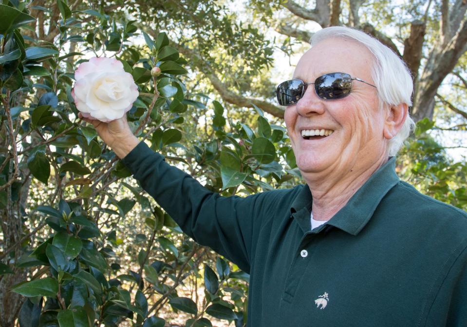 Senior U.S. District Judge Roger Vinson discusses the Mary Fischer variety of Camilla growing in his garden in Pensacola on Thursday, Dec. 1, 2016.