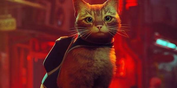 ¡Adorables! Gatitos reaccionan a Stray, el juego del momento en PlayStation y PC