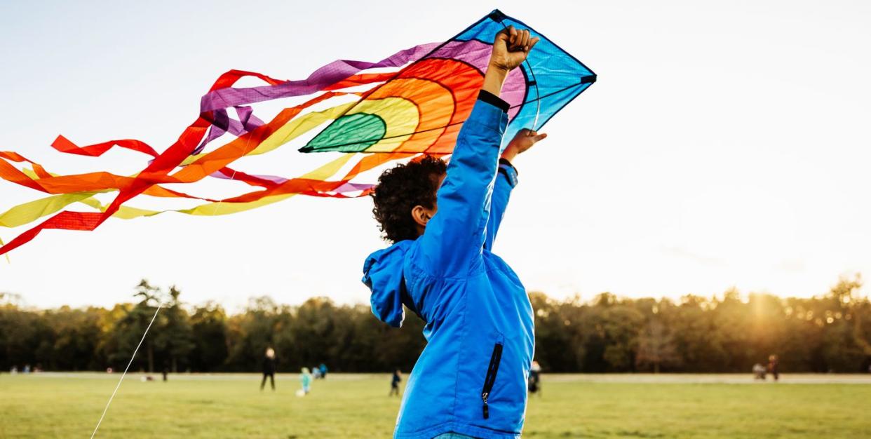 summer activities kid holding a kite above their head at a park