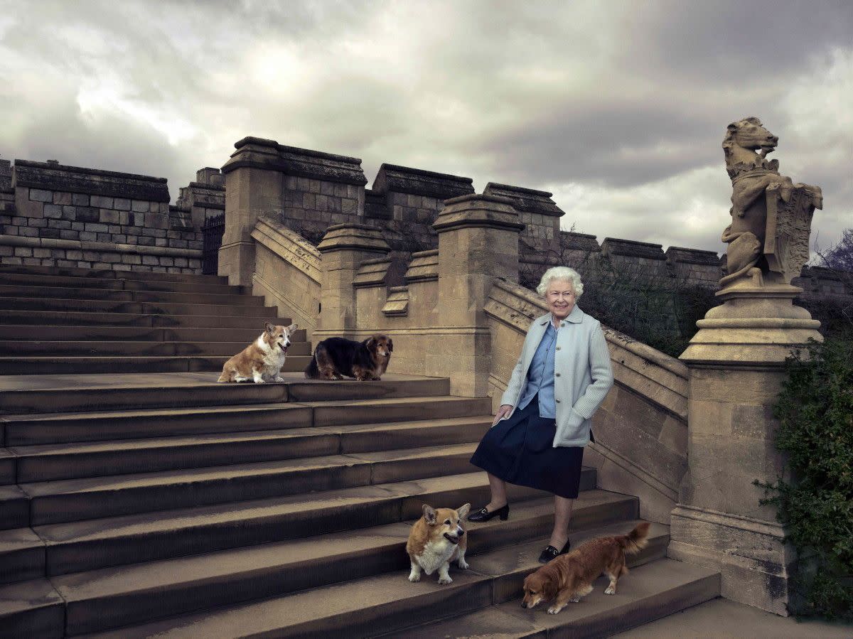 Famed photographer Annie Leibovitz photographed striking images of Queen Elizabeth II to mark her 90th birthday on April 21, 2016. Here, Queen Elizabeth II posed on the steps of the east terrace with four of her dogs Willow, Vulcan, Holly and Candy in the garden of Windsor Castle in Windsor.