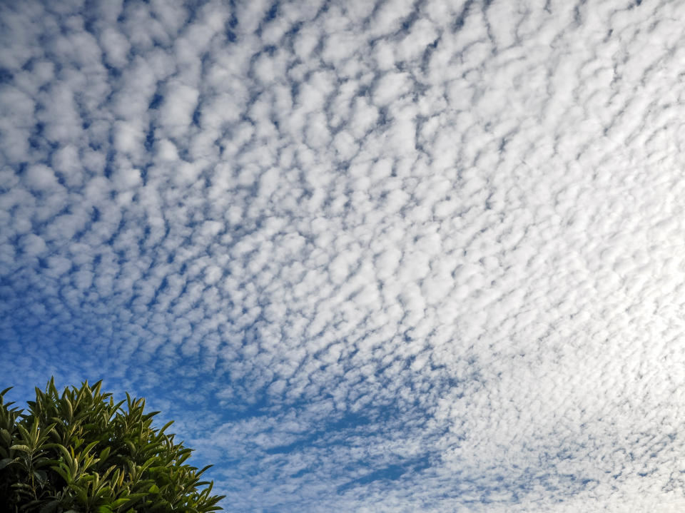 Eine dichtere Schäfchenwolkendecke zeigt vorerst beständiges Wetter an (Bild: Getty Images)