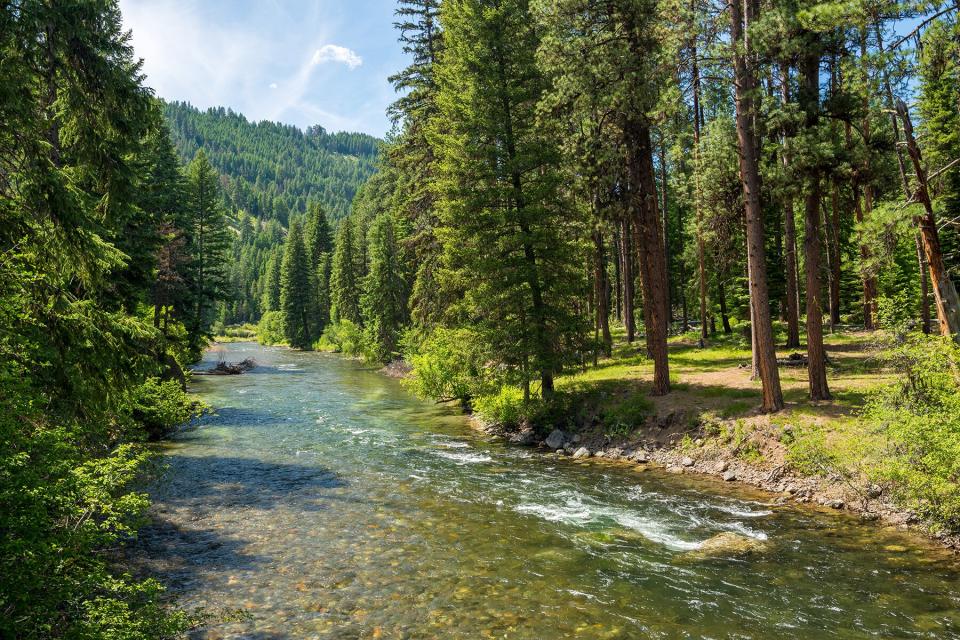 The river at The Minam River Lodge