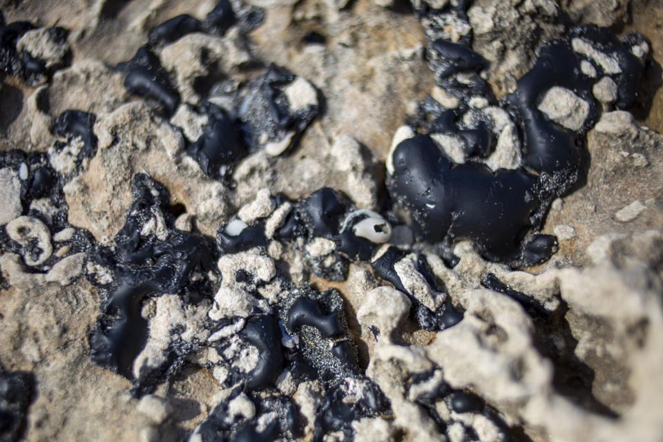 Tar pieces from an oil spill stuck on rocks in the Mediterranean sea as it reached Gador nature reserve near Hadera, Israel, Saturday, Feb. 20, 2021. Hundreds of volunteers are taking part in a cleanup operation of Israeli shoreline as investigations are underway to determine the cause of an oil spill that threatens the beach and wildlife, at Gador Nature Reserve near the northern city of Hadera, the tar smeared fish, turtles, and other sea creatures. (AP Photo/Ariel Schalit)