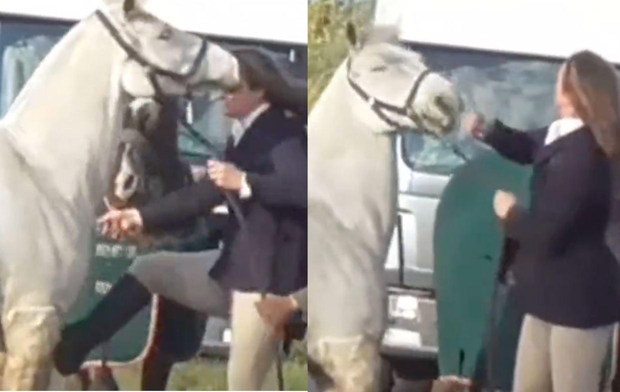 The rider was filmed kicking and hitting the horse on Saturday. (Hertfordshire Hunt Saboteurs)