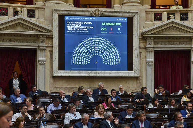 El resultado de la votación en Diputados para crear un registro de deudores alimentarios