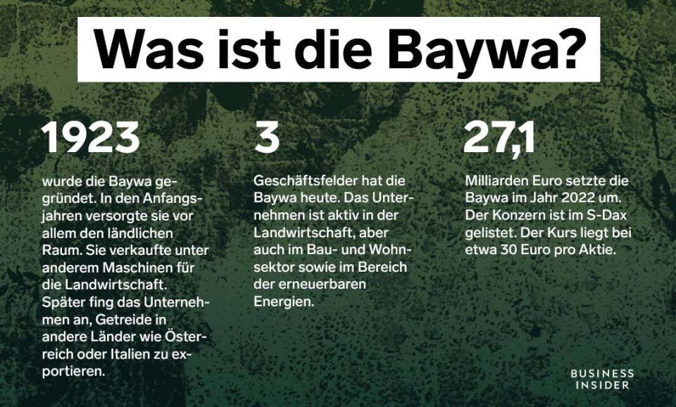 Die Baywa im Überblick. - Copyright: Collage: Dominik Schmitt