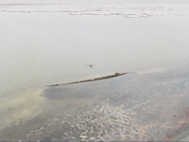 PHOTO: The remains of the W.E. Marsh No. 4, a 120-year-old boat, are visible in Utah's Great Salt Lake Park. (KTVX)