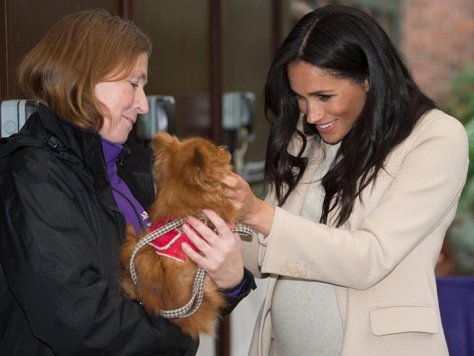 meghan markle petting a dog