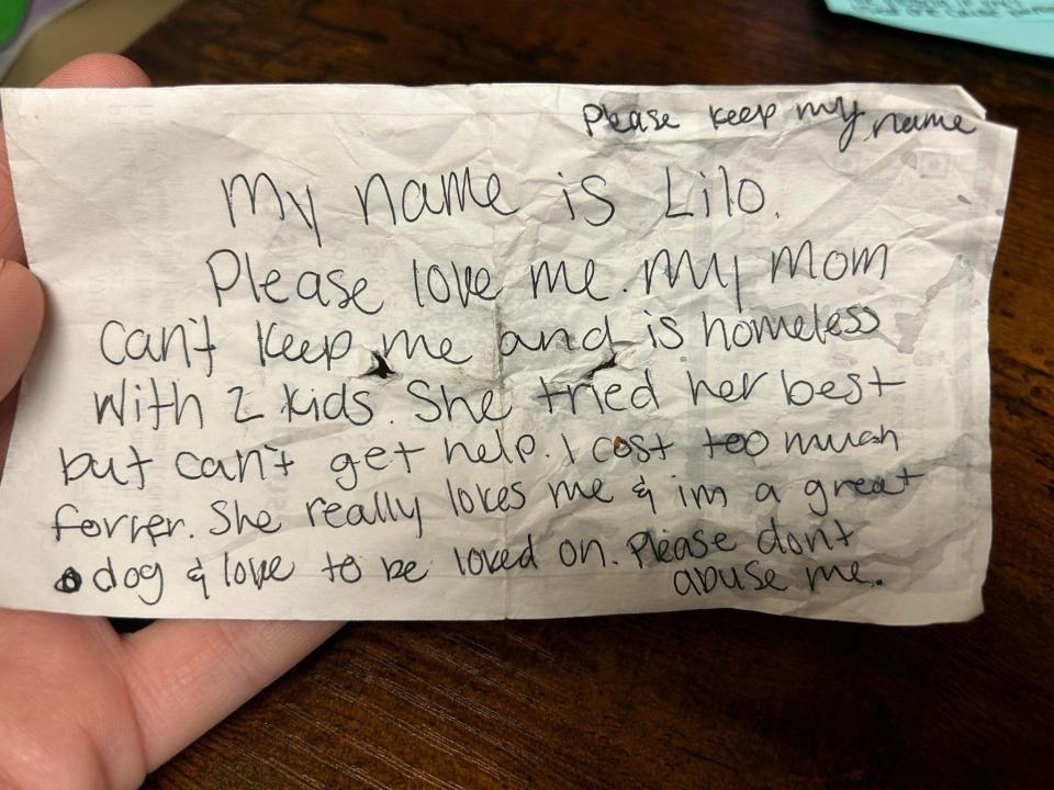 The note Lilo's owner left for the next person who found Lilo. The part that hit home for the shelter staff: 