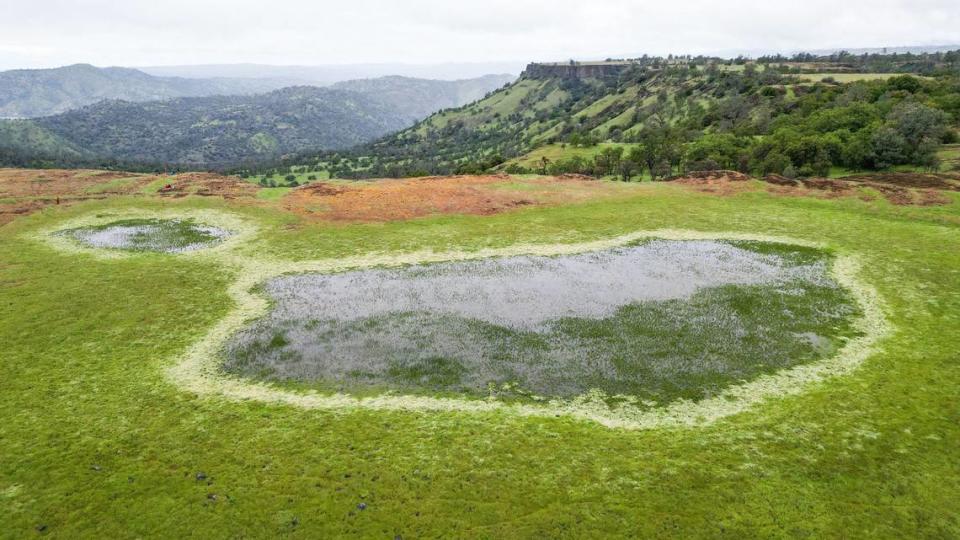 Vernal pools appear on top of a table mountain in this drone images taken on Sunday, April 14, 2024 during a hike on the McKenzie Table Mountain Preserve in Fresno County through the Sierra Foothill Conservancy.