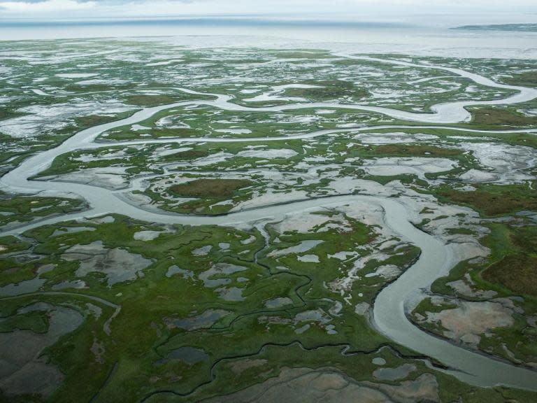 Emissions from thawing Arctic permafrost may be 12 times higher than previously thought, scientists have discovered.Permafrost is a mix of soil, rock or sediment that has been frozen for at least two years which is mostly found in the uppermost areas where temperatures are rising more quickly than the rest of the world.When it thaws because of global warming, it releases large quantities of carbon dioxide and methane into the atmosphere, causing temperatures to rise and creating a perpetual cycle where more permafrost melts.Nitrous oxide, a third greenhouse gas nearly 300 times more potent than carbon dioxide, stays in the atmosphere for an average of 114 years, according to the Environmental Protection Agency (EPA).It has “conventionally been assumed to have minimal emissions in permafrost regions”, according to a fresh study published in the Atmospheric Chemistry and Physics journal.However the research team behind the study, led by Harvard University scientists, has found that nitrous oxide emissions are 12 times higher than previously thought and therefore more of a threat.The group used a small plane with a probe on its nose to measure greenhouse gases over 120sqm of thawing permafrost in the North Slope of Alaska.They found that nitrous oxide emissions reached what was previously thought to be the expected yearly limit within just one month in August 2013.Nitrous oxide also poses a second threat because “up in the stratosphere, sunlight and oxygen team up to convert the gas into nitrogen oxides, which eat at the ozone”, Harvard University said in a statement.Jordan Wilkerson, one of the authors of the study, said: “Much smaller increases in nitrous oxide would entail the same kind of climate change that a large plume of CO2 would cause.“This is widespread, pretty high emissions.”He called for further research on the greenhouse gases, especially nitrous oxide, adding: “This needs to be taken more seriously than it is right now.”