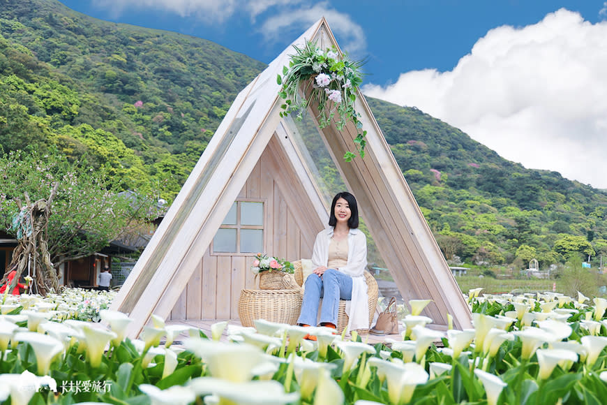 陽明山竹子湖一日遊