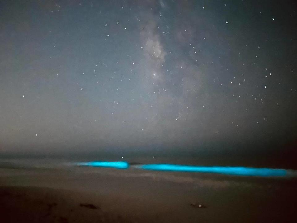 The Ali family of Bradenton was walking along Anna Maria Island over the weekend when they witnessed a bright display of bioluminescence in the waves at Coquina Beach. 