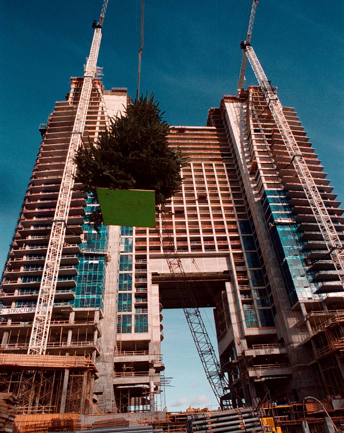 A Christmas tree is hoisted to the top of the new Diplomat Hotel as workers topped out the building at 39 stories.
