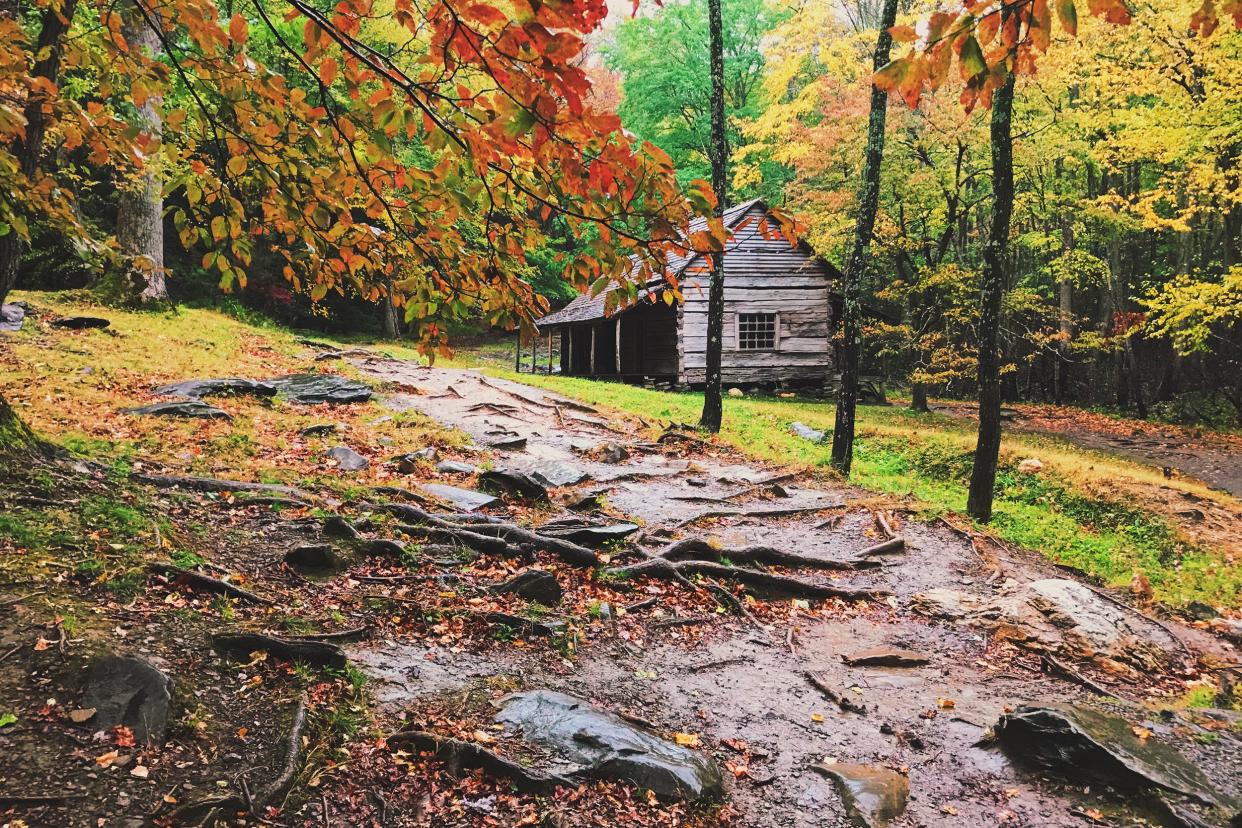 Bud Ogle Cabin, Great Smoky Mountains National Park