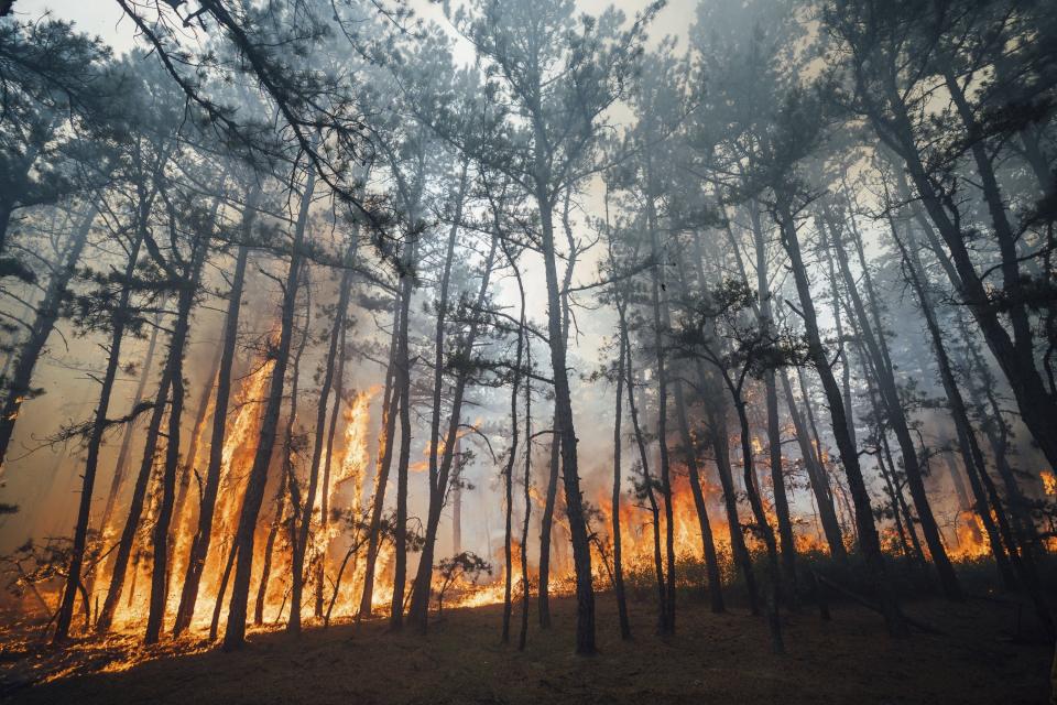 This Saturday, July 6, 2024 image provided by the New Jersey Department of Environmental Protection shows a forest fire in Tabernacle, N.J. The fire had burned 4,000 acres and was 75% contained as of Monday July 8. (New Jersey Department of Environmental Protection via AP)