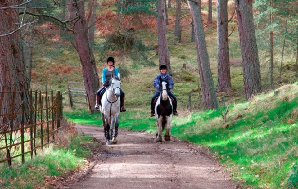 Revisit the Highland distilling era (on hooves) at The Fife Arms (The Fife Arms)