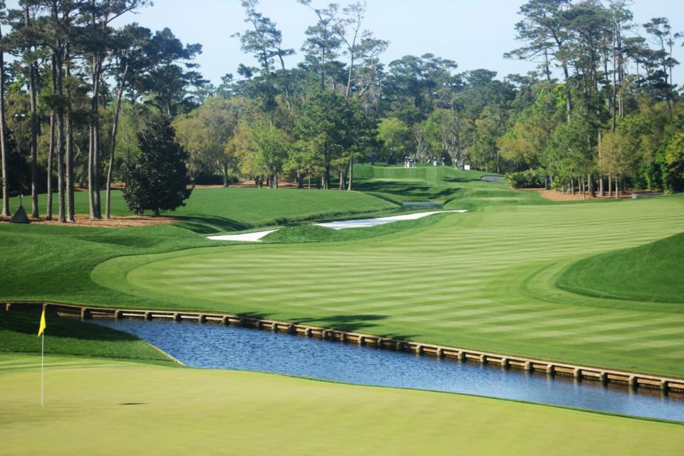 The turfgrass grown for use in the 2024 Players Championship is overseeded Rye, which stands up well for cold weather. Future turfgrass might thrive in any conditions and could be irrigated with seawater. (Photo: Clayton Freeman/Florida Times-Union)