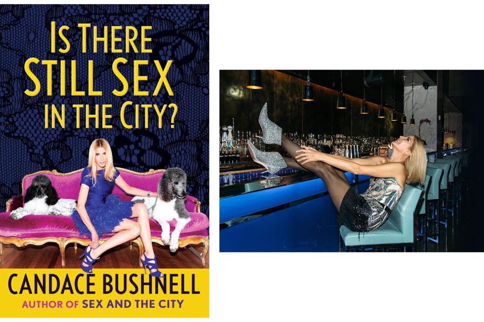 Candace Bushnell's book, Is There Still Sex In The City