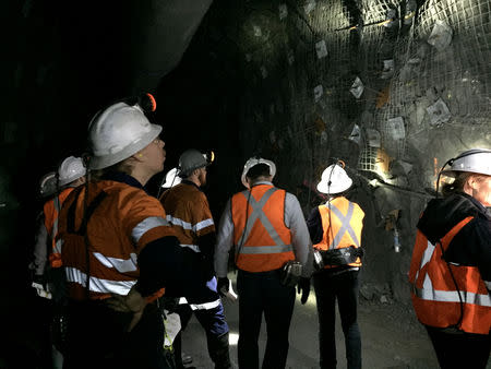 Mining analysts inspect a high grade nickel copper deposit at Independence Group's Nova nickel mine in Western Australia August 4, 2018. REUTERS/Melanie Burton