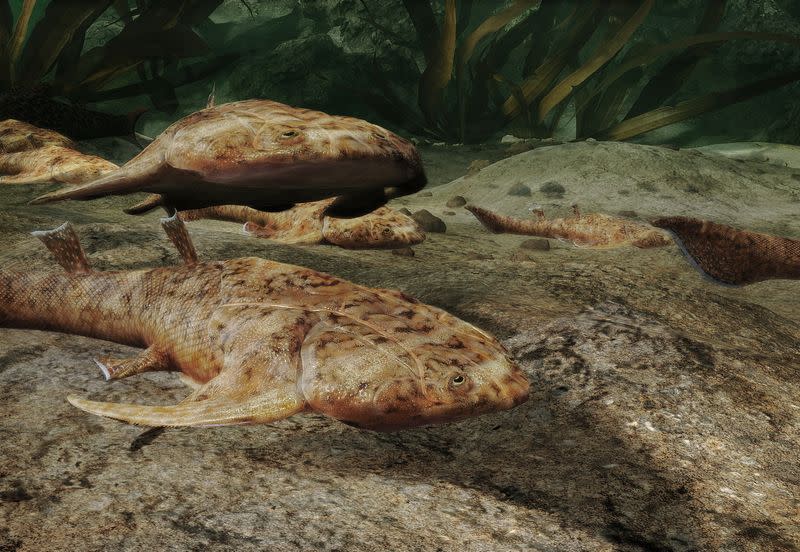 An artist's life reconstruction of the small Silurian Period armored jawed fish Xiushanosteus mirabilis