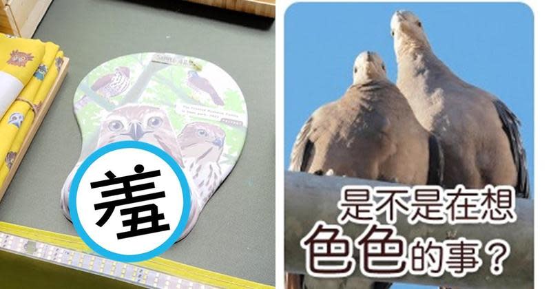 台灣猛禽研究會製作的鳳頭蒼鷹滑鼠墊，讓網友直呼好「色禽」。（翻攝自FrontBird 正面鳥圖貼圖區臉書）