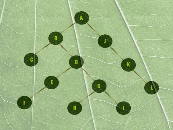 Connected circular nodes branching downwards overlaid on top of a leaf