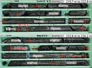 Drill core photos of BWN023 high-grade gold intercepts and gold grades for each sample.