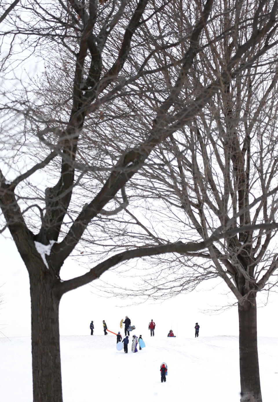 Sledding enthusiasts take to Cricket Hill at Montrose Beach Park Friday, Jan. 3, 2014, in Chicago. Single-digit temperatures are hitting Illinois after the state was blanketed in snow. Meanwhile, residents are bracing for a deep freeze. Highs early next week likely won't reach zero and wind chills could sink to 45 below. (AP Photo/Charles Rex Arbogast)