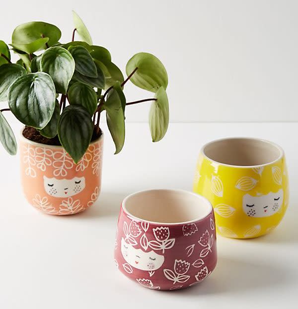 STYLECASTER | Cute Planters