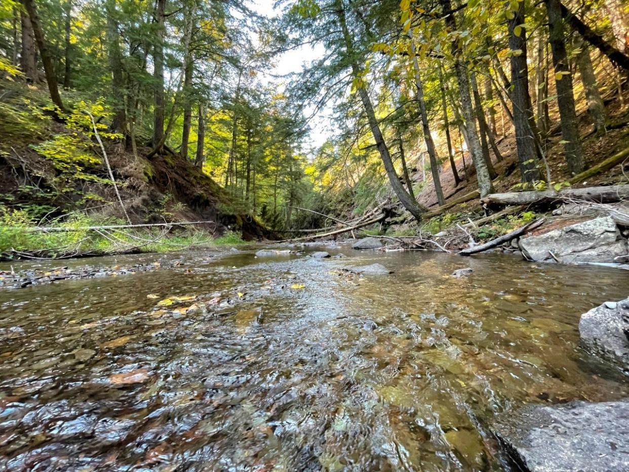 Tthe Slate River Timberlands in the Micigamme Highlands area, is home to towering hemlock trees and free-flowing rivers.