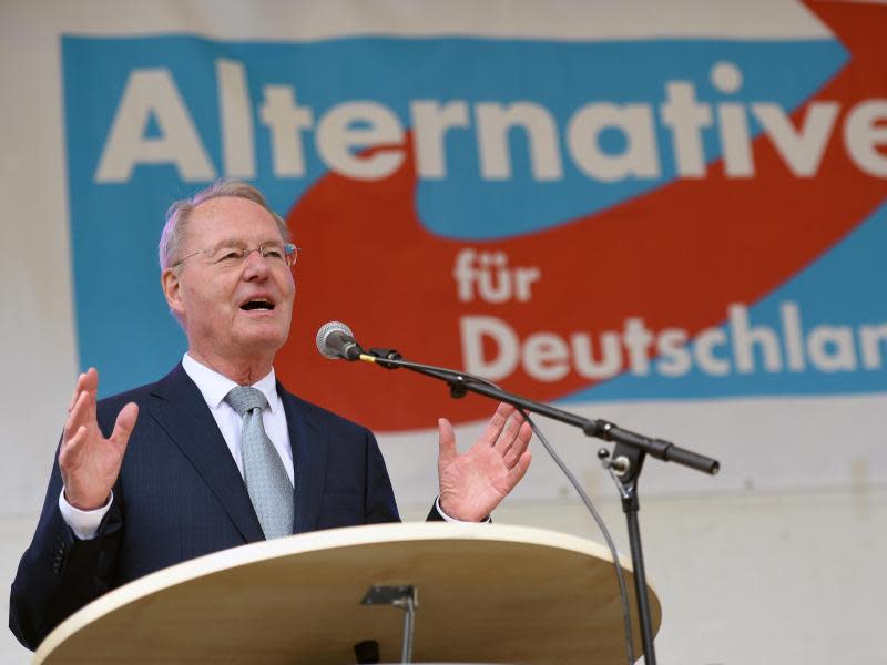 Der frühere Industriepräsident Hans-Olaf Henkel spricht in Köln bei der Auftaktveranstaltung der AfD für den Wahlkampf zur Europawahl. Foto: Marius Becker