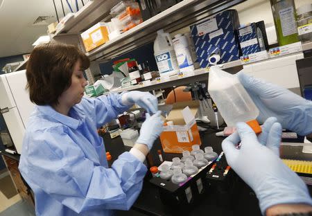 Molecular Genetics Technical Specialist Jaime Wendt (L) and Mike Tschannen work in the Human and Molecular Genetics Center Sequencing Core at the Medical College of Wisconsin in Milwaukee May 9, 2014. REUTERS/Jim Young