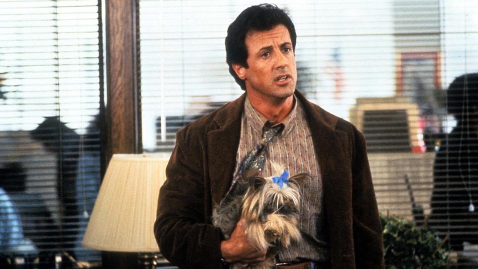 Sylvester Stallone in a brown jacket holds a dog on the film 