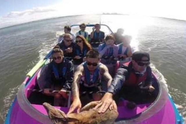 Boat rescues drowning wallaby