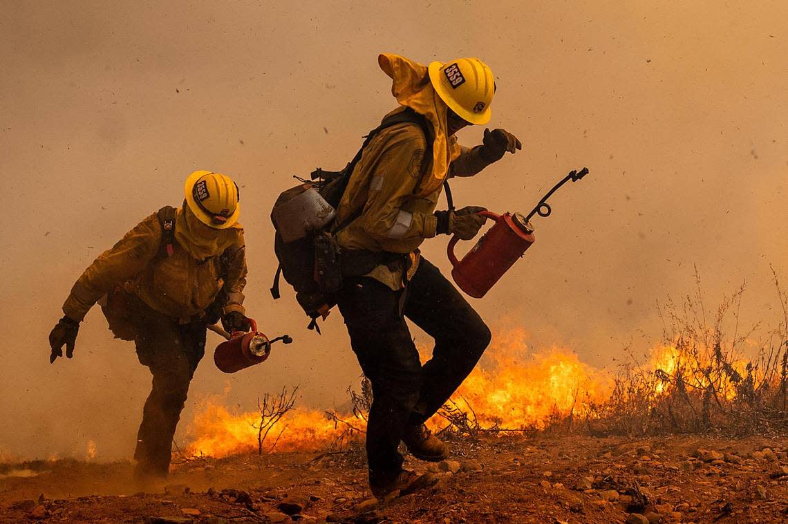 Firefighters burn vegetation while trying to keep the Electra Fire from reaching homes in the Pine Acres community of Amador County on Tuesday.