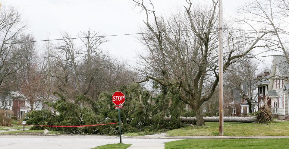 A large tree blocks southbound Castle Boulevard at Dartmouth on Saturday in Akron after strong winds hit the area.