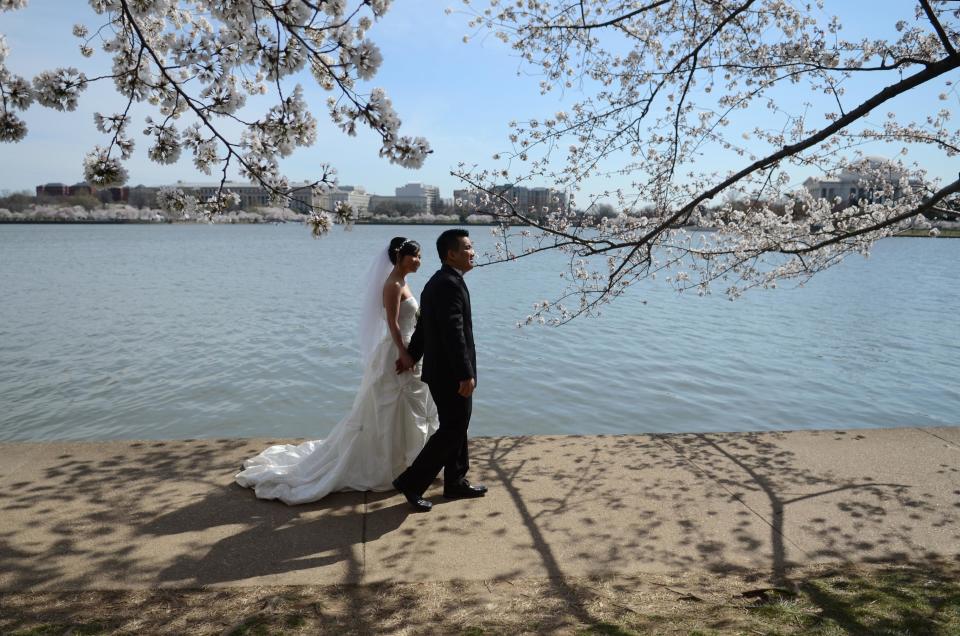 9) Yes, you can get married under the cherry blossoms.