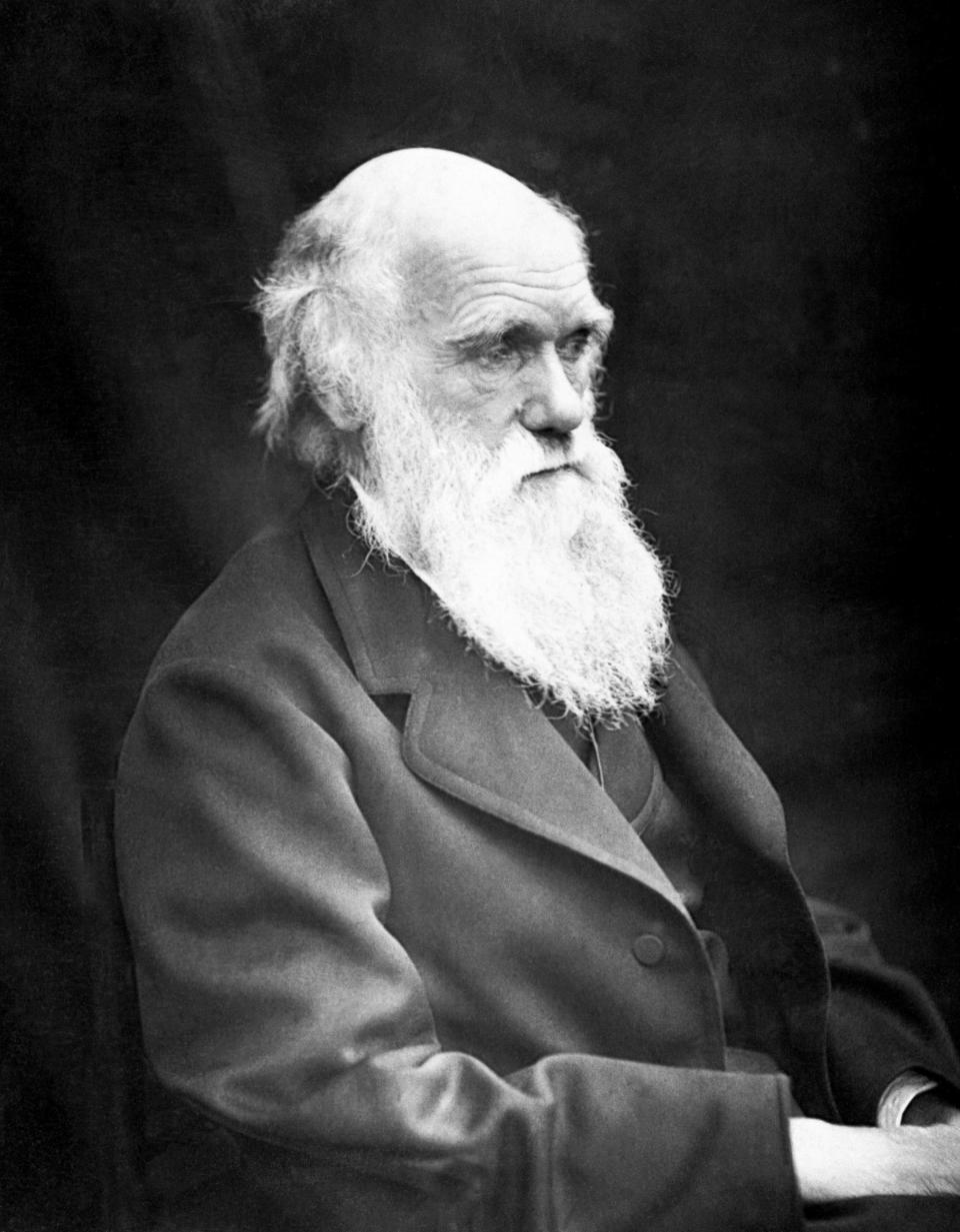 Darwin