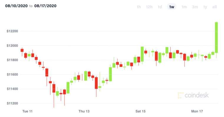 比特幣過去一週走勢(圖表取自coindesk)