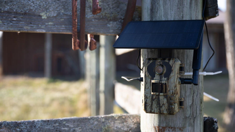 SEHMUA 4G LTE 3rd Gen Cellular Trail Camera attached to a fence in a field