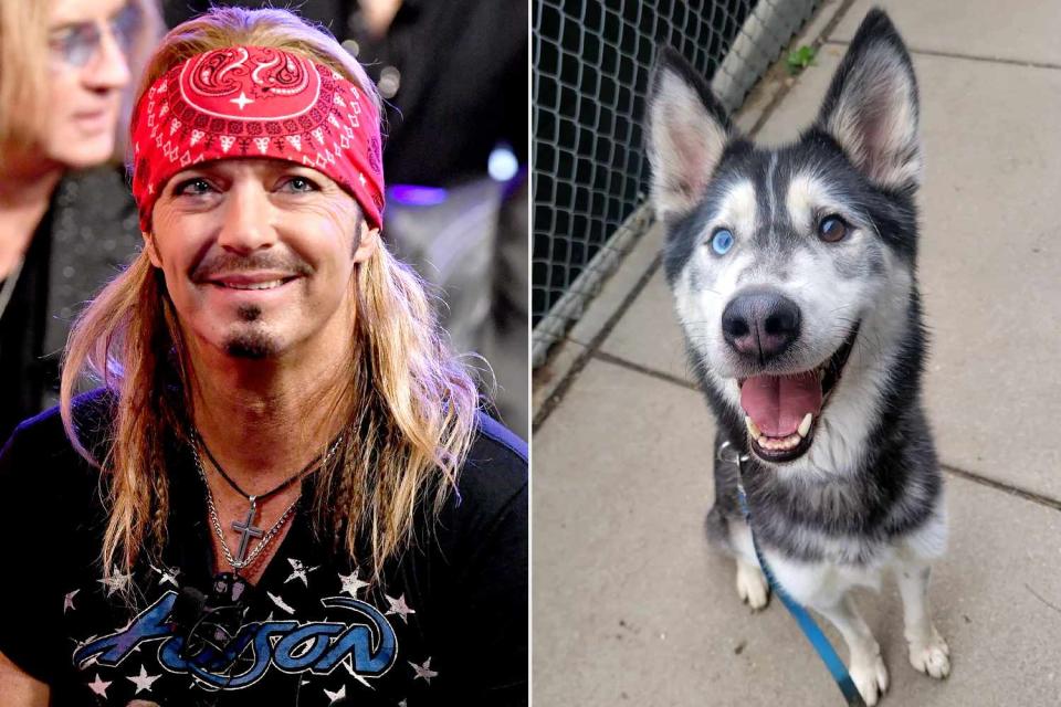 <p>Kevin Winter/Getty; Nebraska Humane Society</p> Bret Michaels adopts a dog named after him