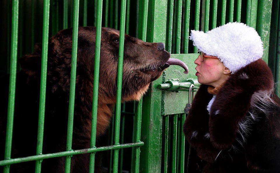 Pictured is a bear sticking its tongue out at Vera Blishch at her Russian zoo. 