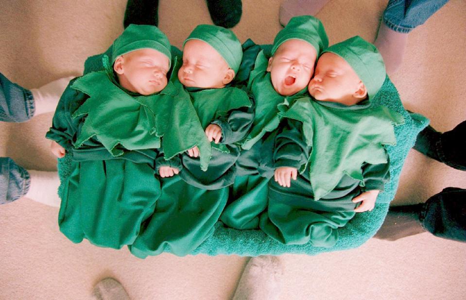 Ed and Heather Lavich's quadruplets, left to right, Janelle, 6lbs, one half oz., Maryn, 6lbs, 13 oz., Miles, 6lbs, one half oz., and Greg, 6 lbs, 10 oz., are all decked out for Halloween in their peas in a pod costumes made by their aunt Christine Carlyle in Winnipeg Wednesday Oct. 30, 1996. The two-and-a-half-weeks-olds will wear the costumes when they are presented by six-year-old sister, Caitlyn, at school for show and tell Thursday. (CP Photo/Winnipeg Free Press-Jeff De Booy)