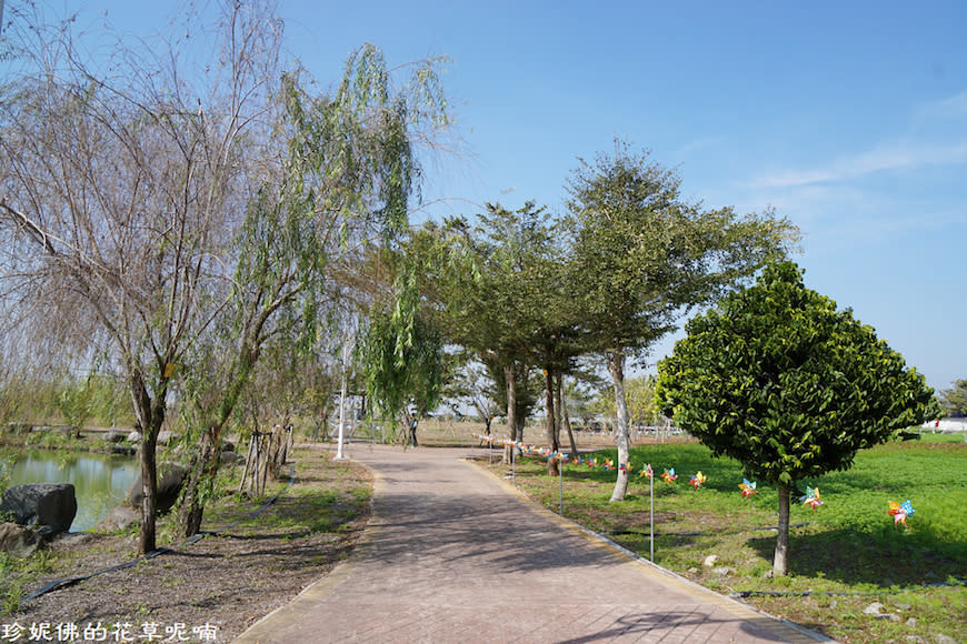 屏東新埤鄉綜合休閒公園｜向日葵花海