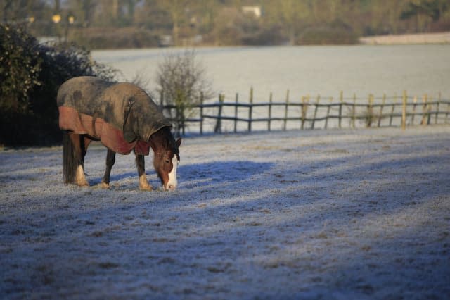 UK weather: 'Beast from the East' to bring snow showers