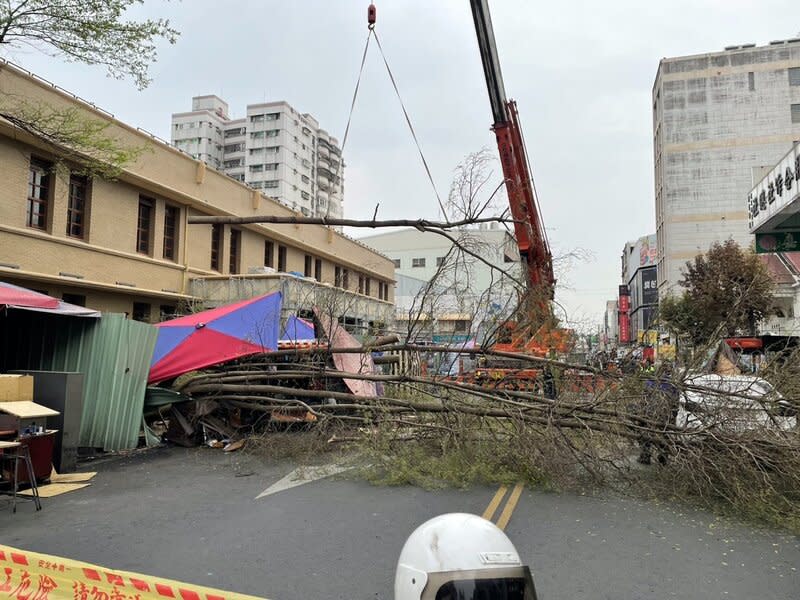 嘉市文化路郵局前樹木倒伏  幸無人傷（1） 嘉義市歷史建築文化路郵局正在進行整修工程，9日 下午位於郵局前的小葉欖仁樹突然傾倒，枝幹橫躺在 路面，所幸未造成人員受傷。 （嘉義市政府提供） 中央社記者黃國芳傳真  113年3月9日 