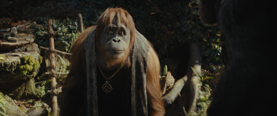 彼德梅肯飾演猩猩「拉卡」的。（圖／20世紀影業）