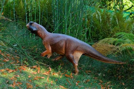 An artist's illustration of Psittacosaurus, a little dinosaur with a parrot-like beak and bristles on its tail that roamed thick forests in China about 120 million years ago is shown in this image released on September 15, 2016. Courtesy Jakob Vinther/University of Bristol and Bob Nicholls/Handout via REUTERS